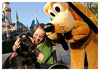 Disneyland Hotel - Signature Suites - Disney