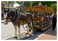 Disneyland Resort - Mainstreet U.S.A. - Main Street Vehicles