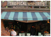 Disneyland - Dining - Tropical Imports