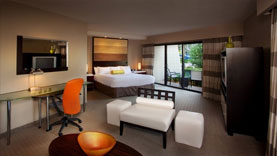 Stay at the Contemporary Resort