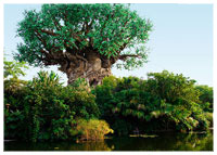 Disney's Animal Kingdom - Discovery Island - The Tree of Life