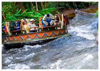 Disney's Animal Kingdom - Asia - Kali River Rapids